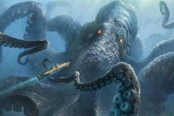 Kraken whitenet market